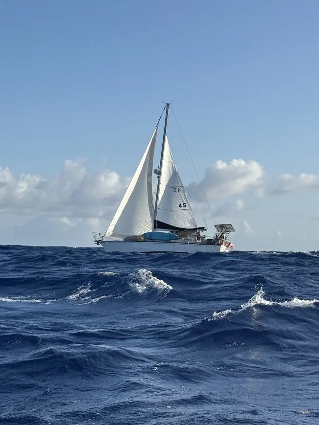 Luperon40.jpg