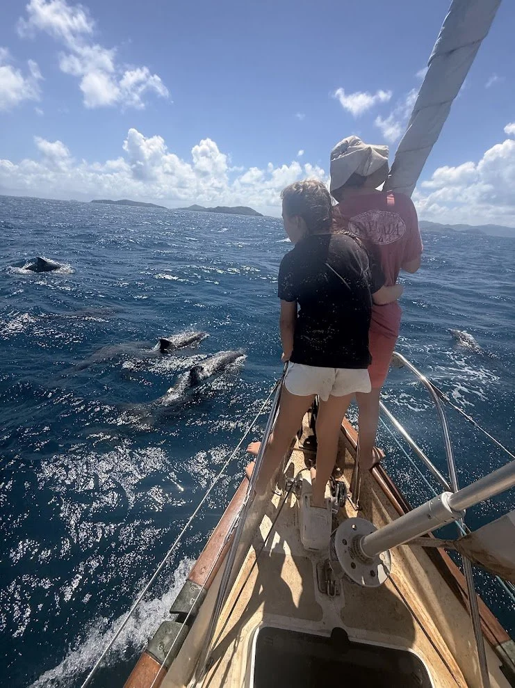 Anegada17.jpg