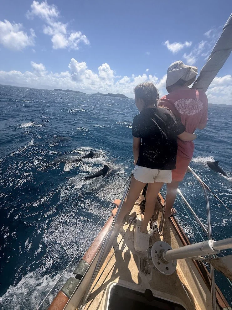 Anegada18.jpg