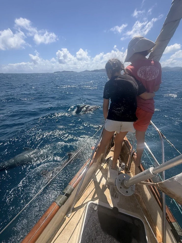 Anegada16.jpg