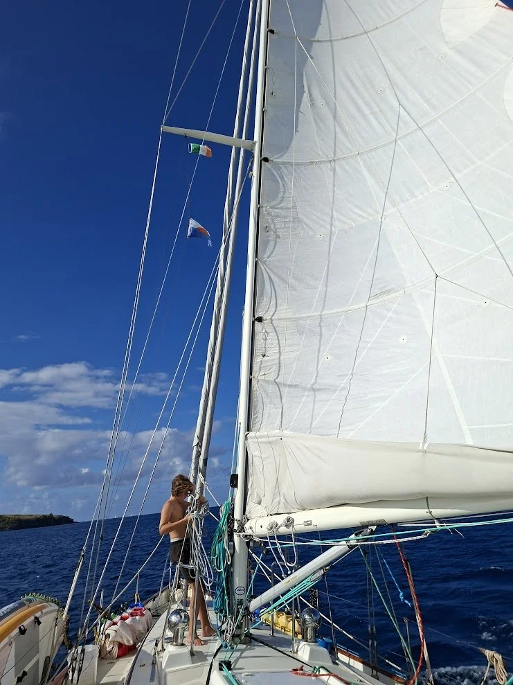 Nevis8.jpg
