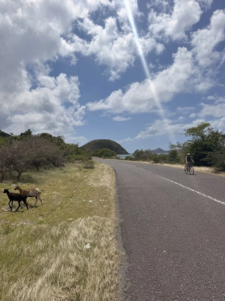Nevis29.jpg