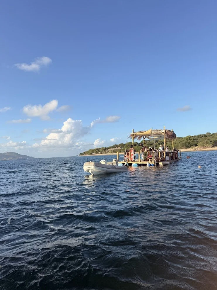 Nevis21.jpg