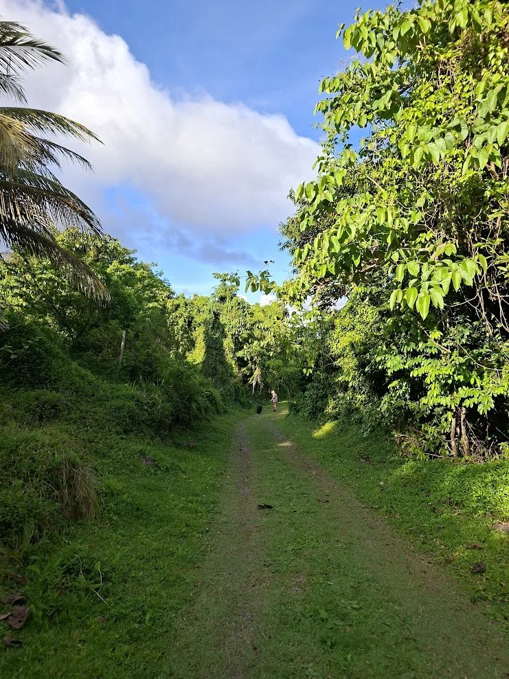 Nevis19.jpg