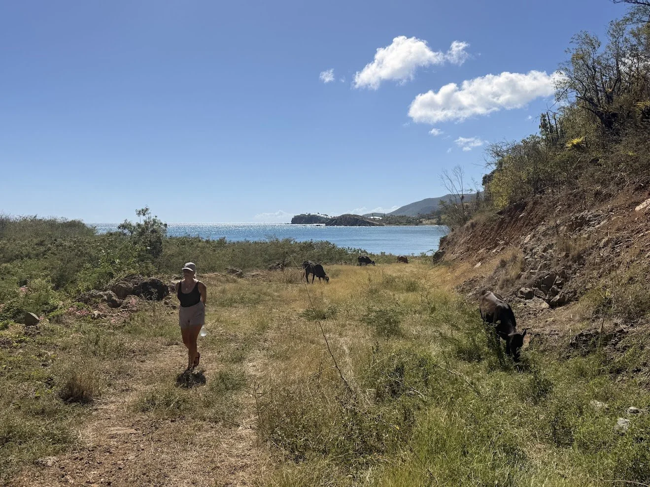 Antigua22.jpg