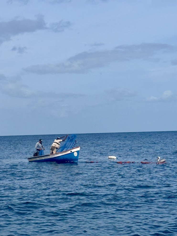 Martinique4.jpg