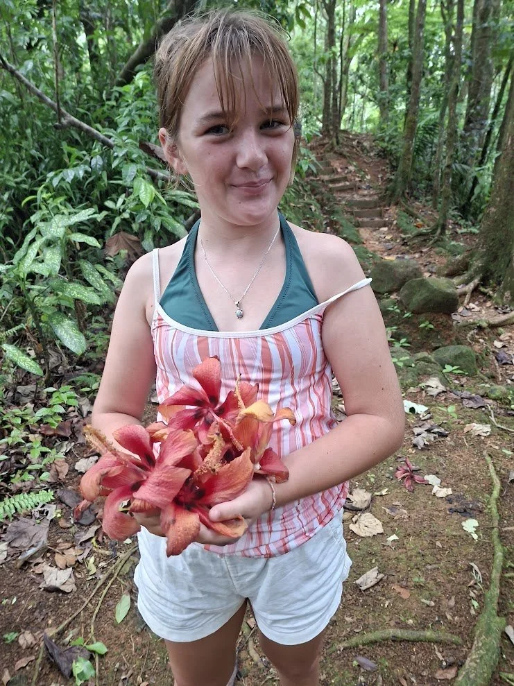 StLucia37.jpg