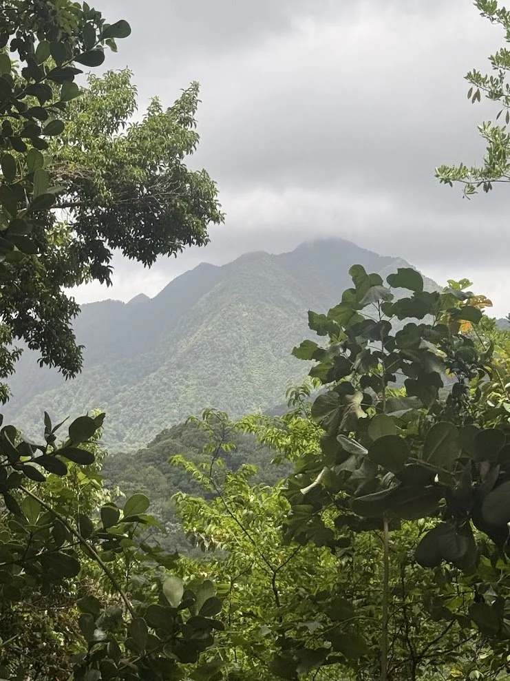 StLucia20.jpg