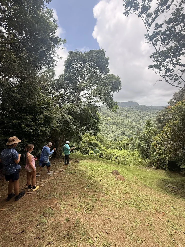 StLucia19.jpg