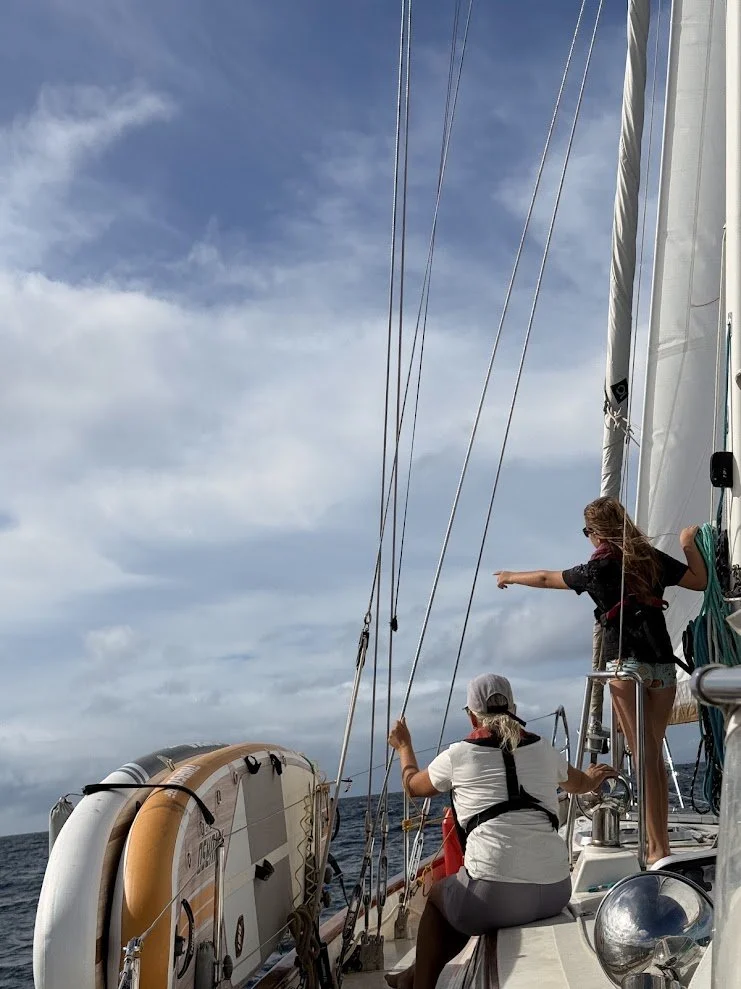 Martinique23.jpg