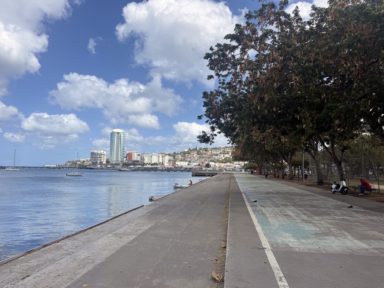 Martinique6.jpg