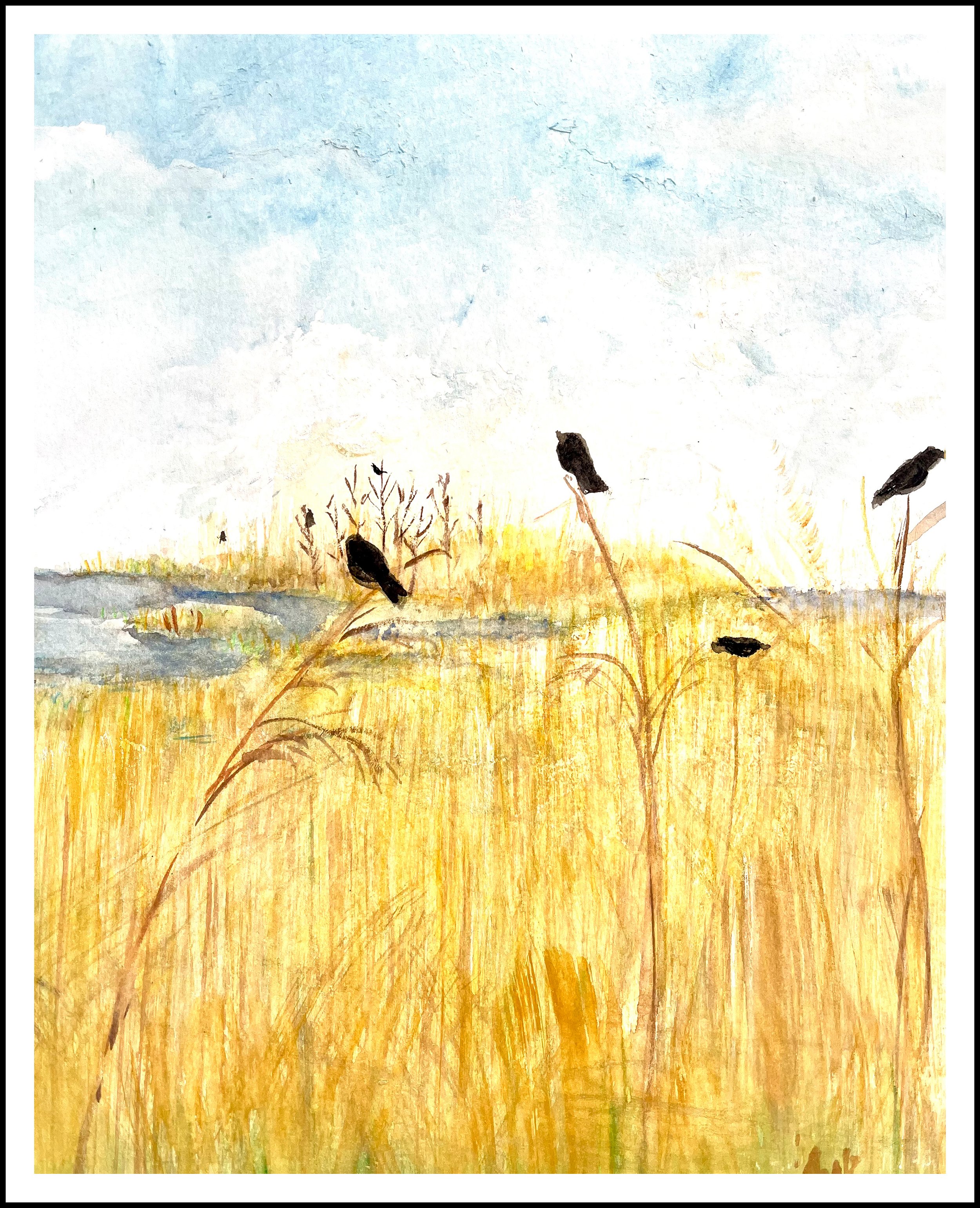 Black Birds in Pentwater River