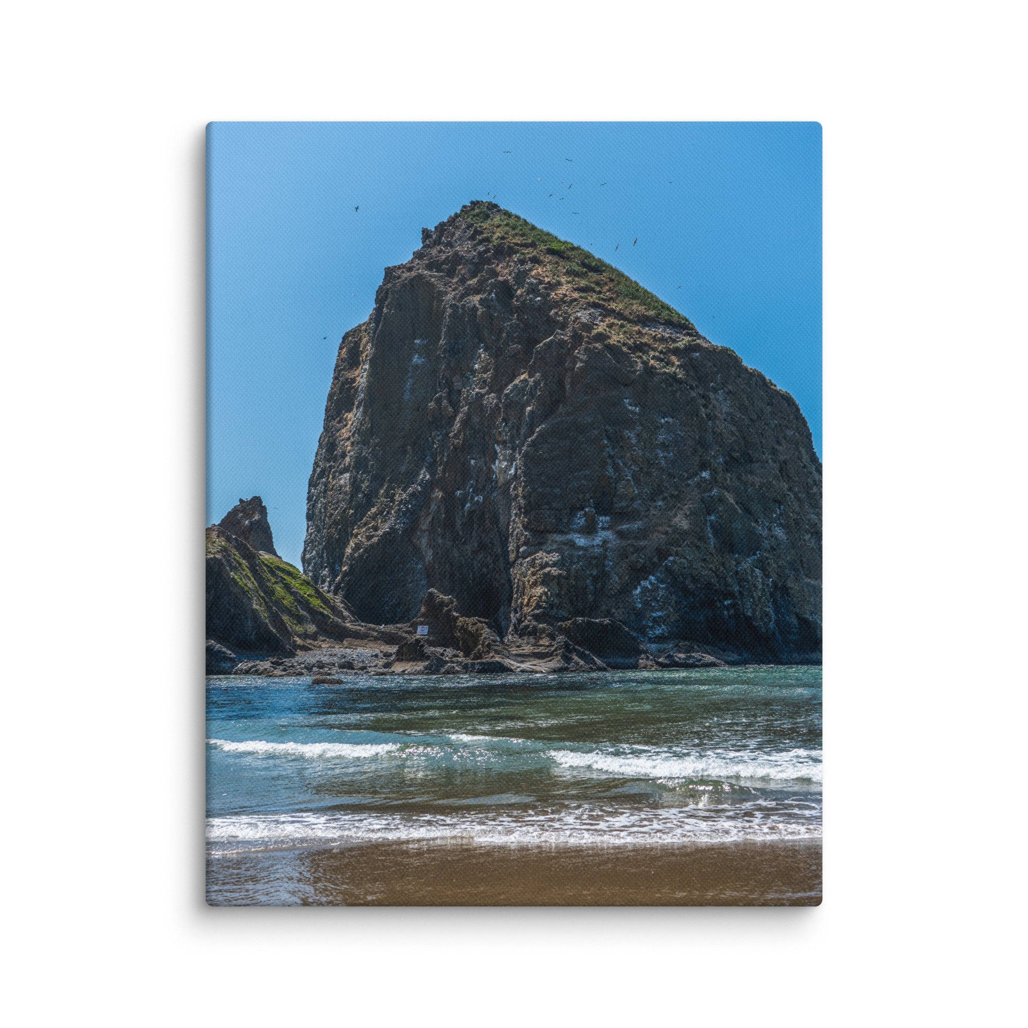 canvas-(in)-11x14-wall-6782fdce51f34.jpg