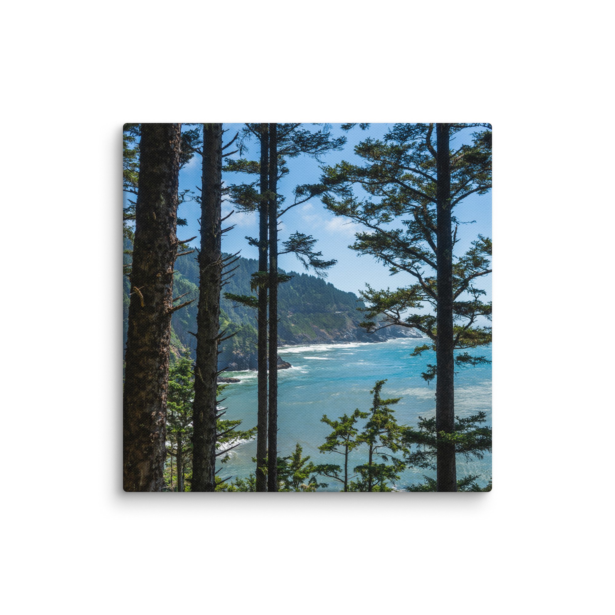 canvas-(in)-8x8-wall-678309262aedb.jpg