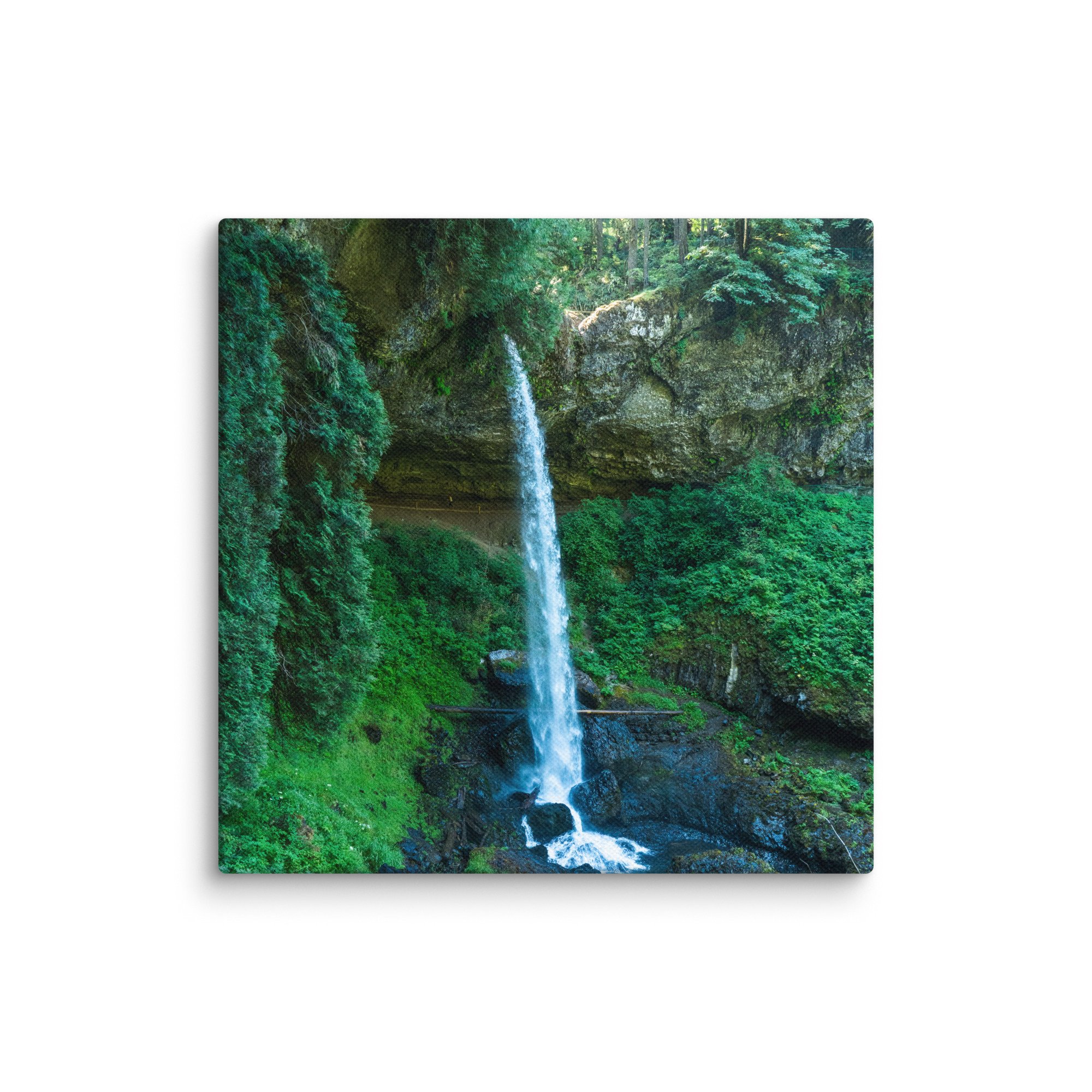 canvas-(in)-10x10-wall-6783160abe030.jpg
