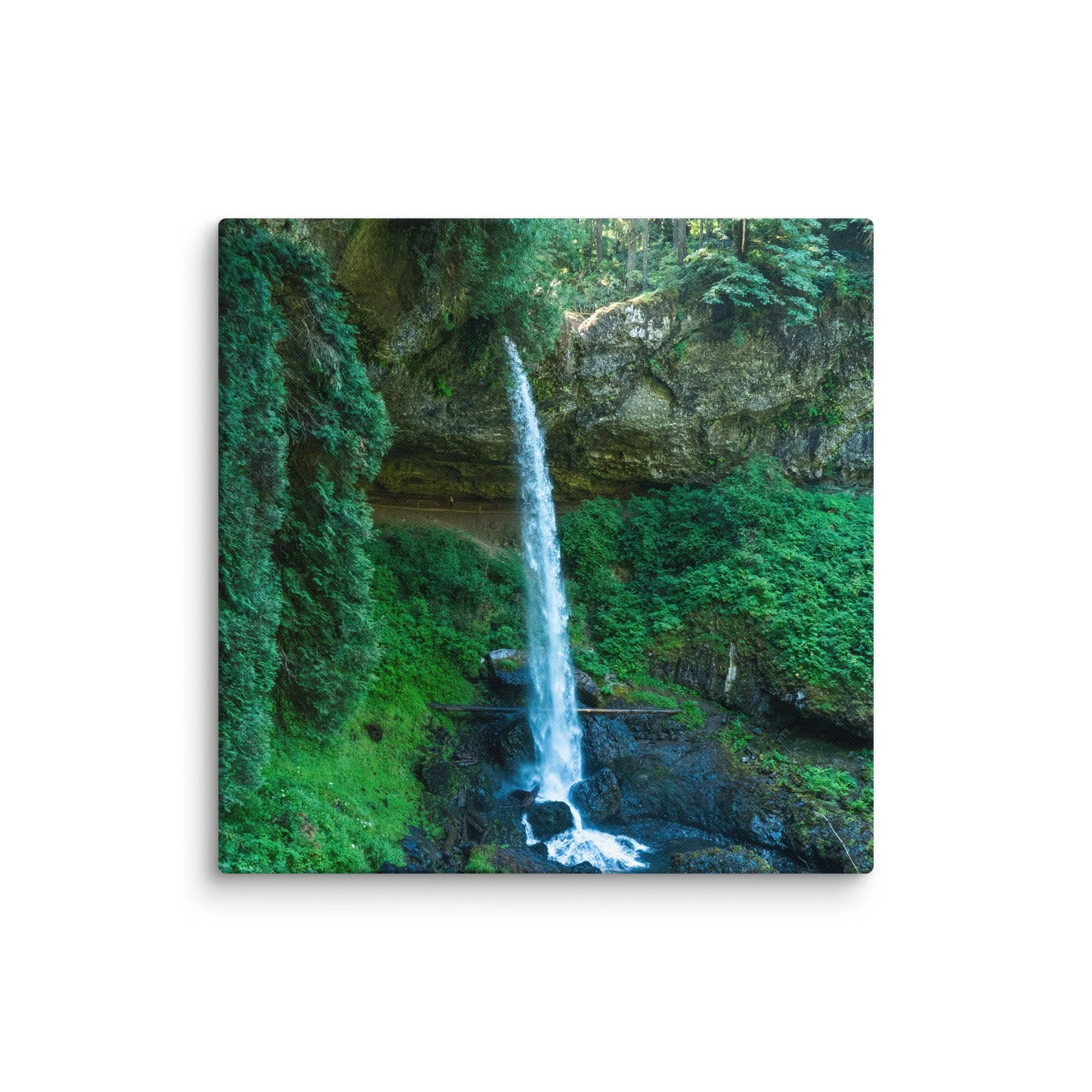 canvas-(in)-37x37-wall-6783160abe69d.jpg