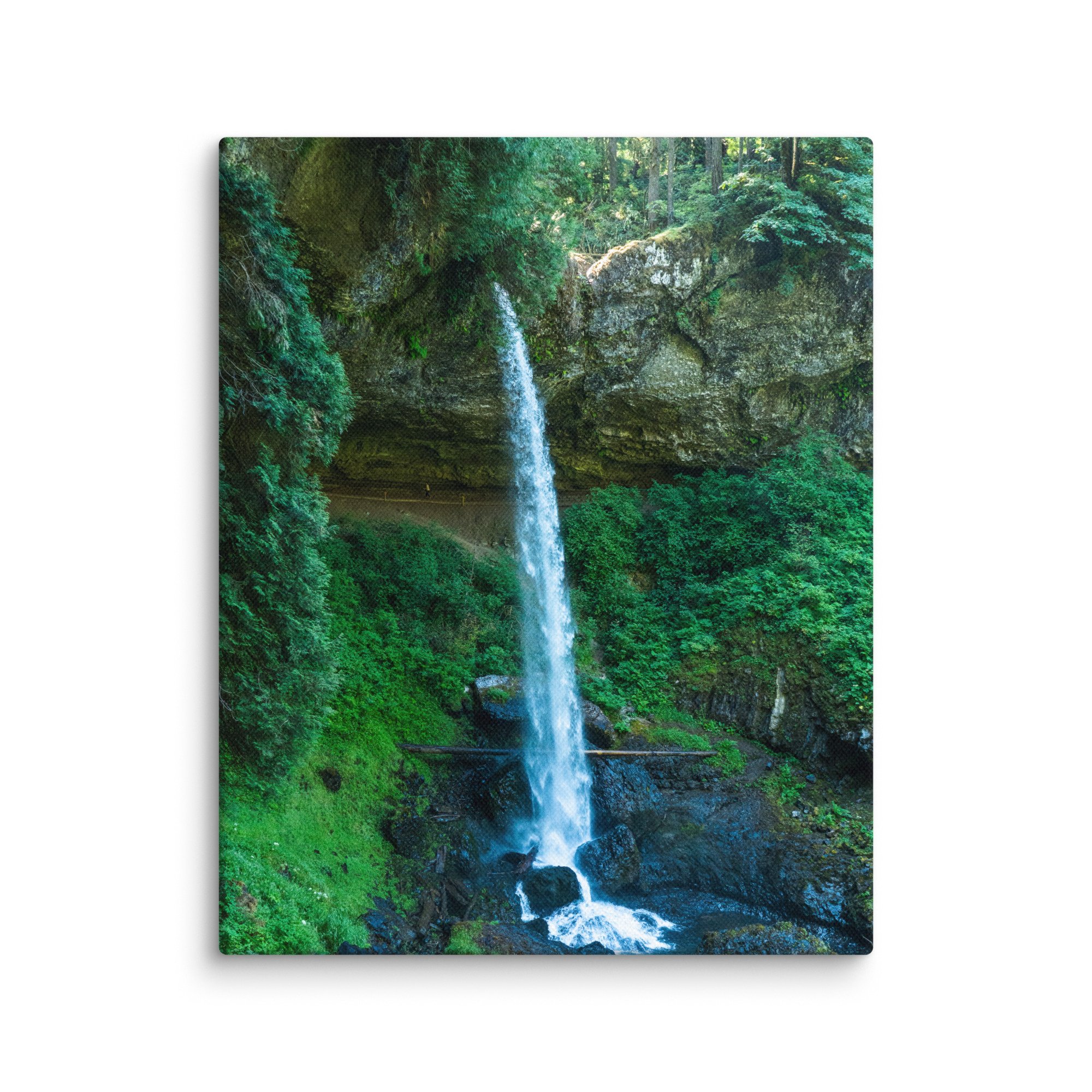 canvas-(in)-8x10-wall-6783160abe727.jpg
