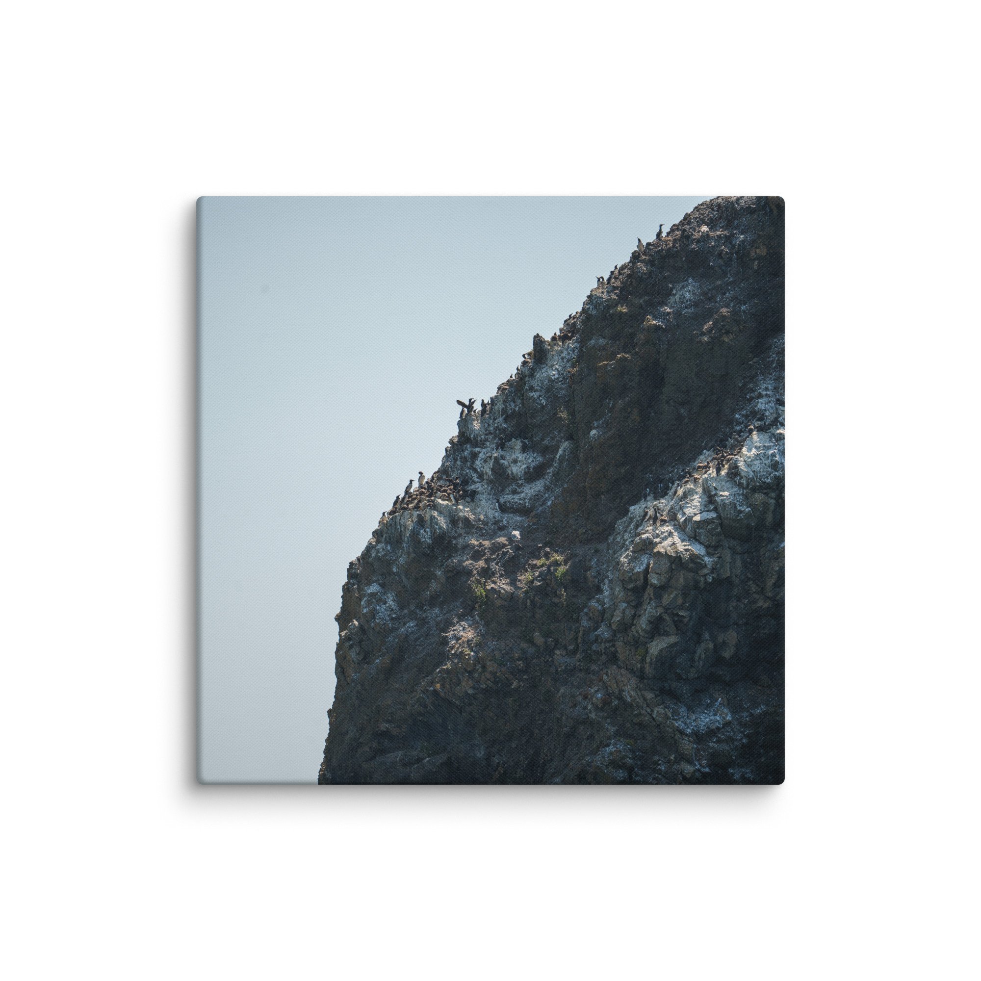 canvas-(in)-26x26-wall-678537c96fe9f.jpg