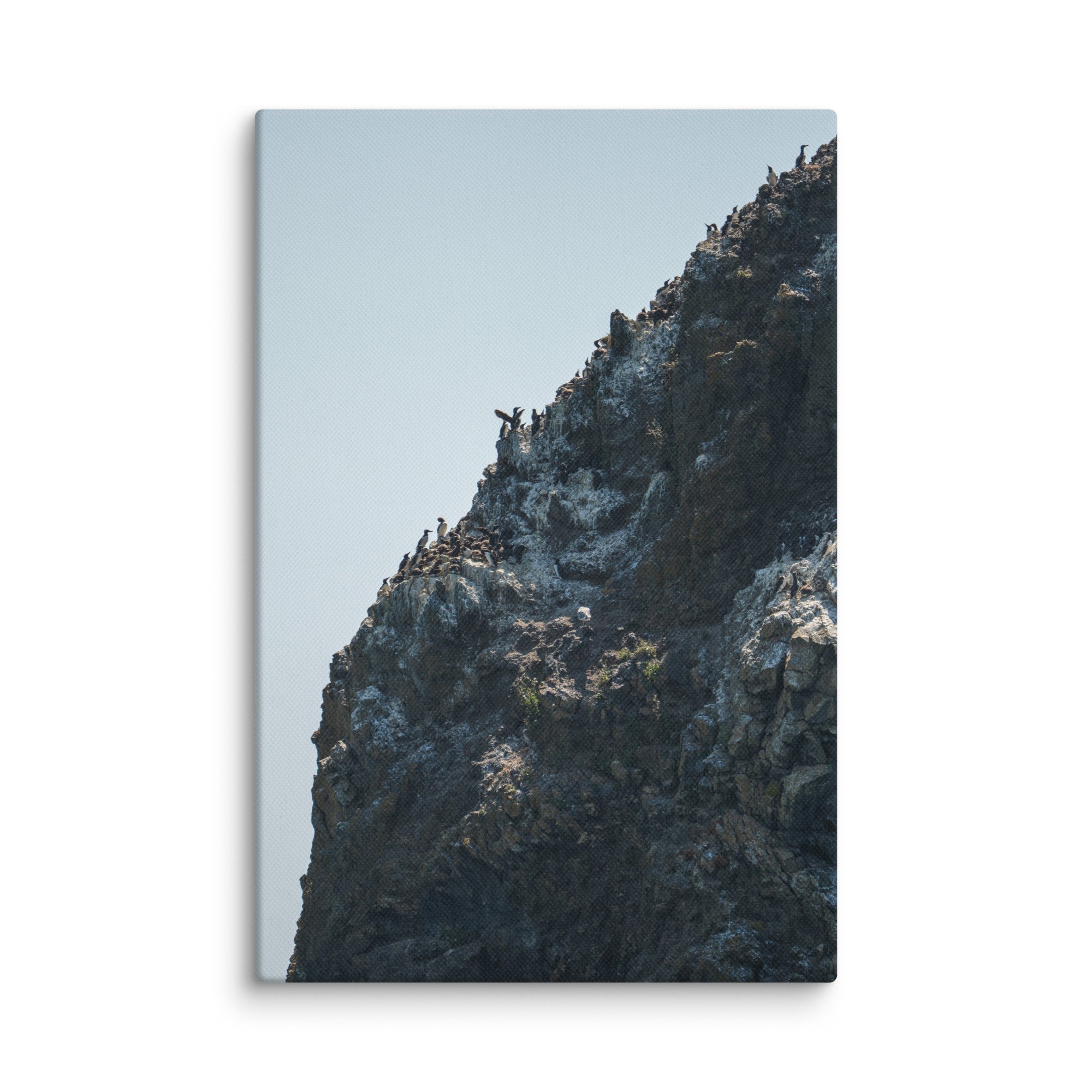 canvas-(in)-8x12-wall-678537c97021e.jpg