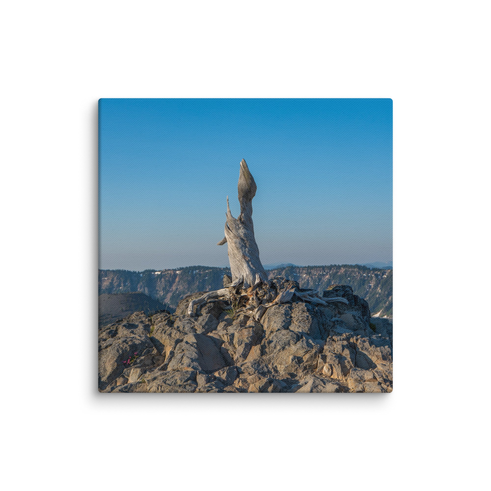 canvas-(in)-14x14-wall-6785384c87f9c.jpg