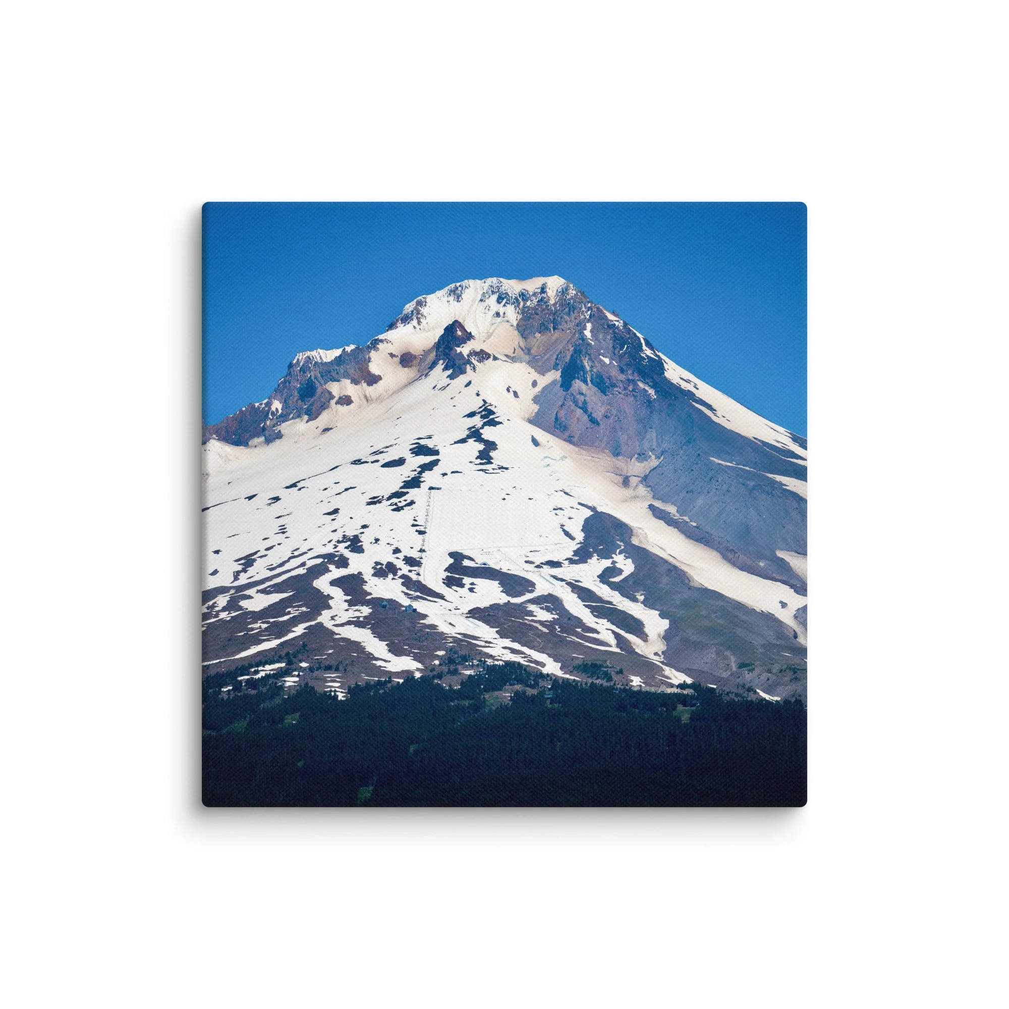 canvas-(in)-14x14-wall-67857720ade61.jpg
