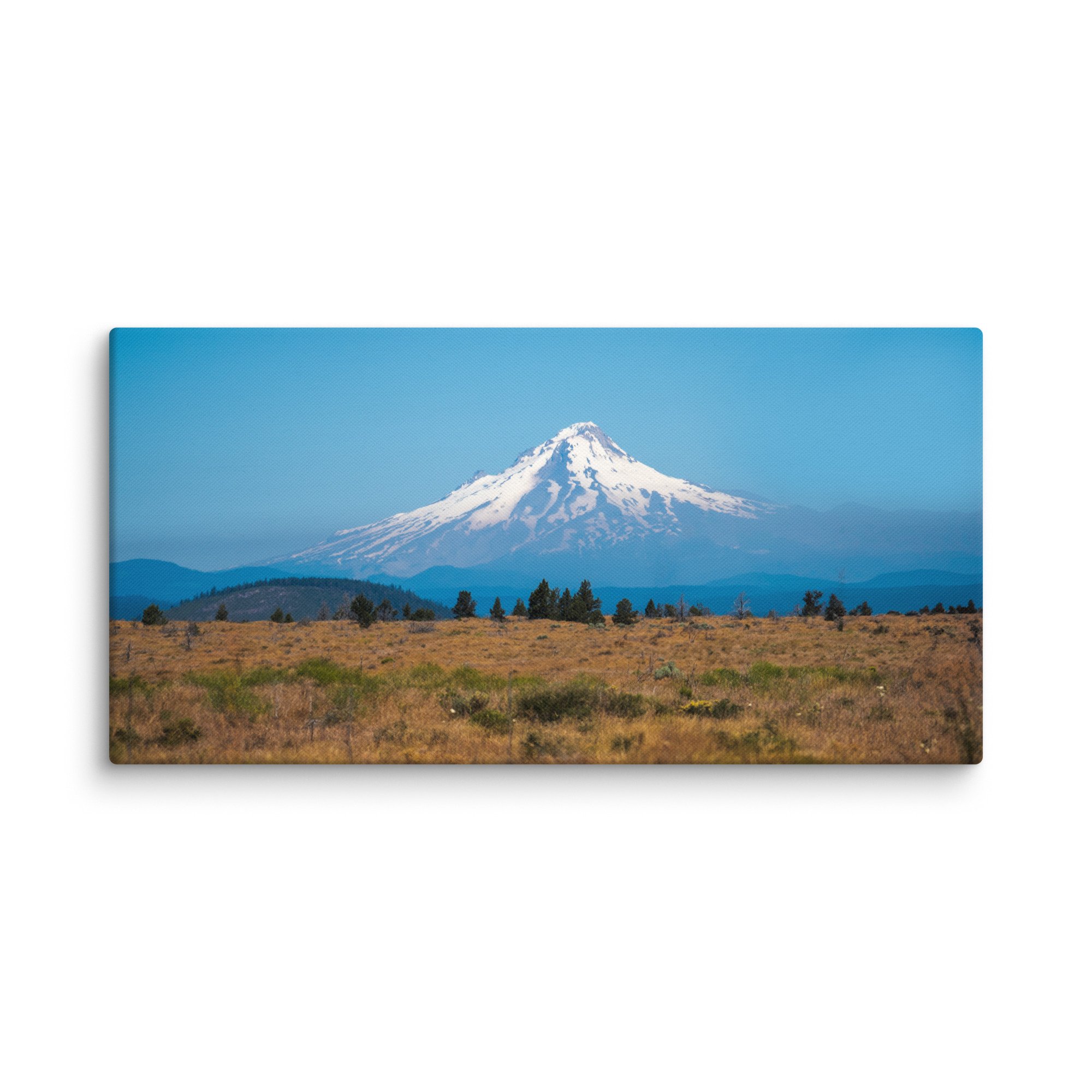 canvas-(in)-16x32-wall-67858088ac3cf.jpg