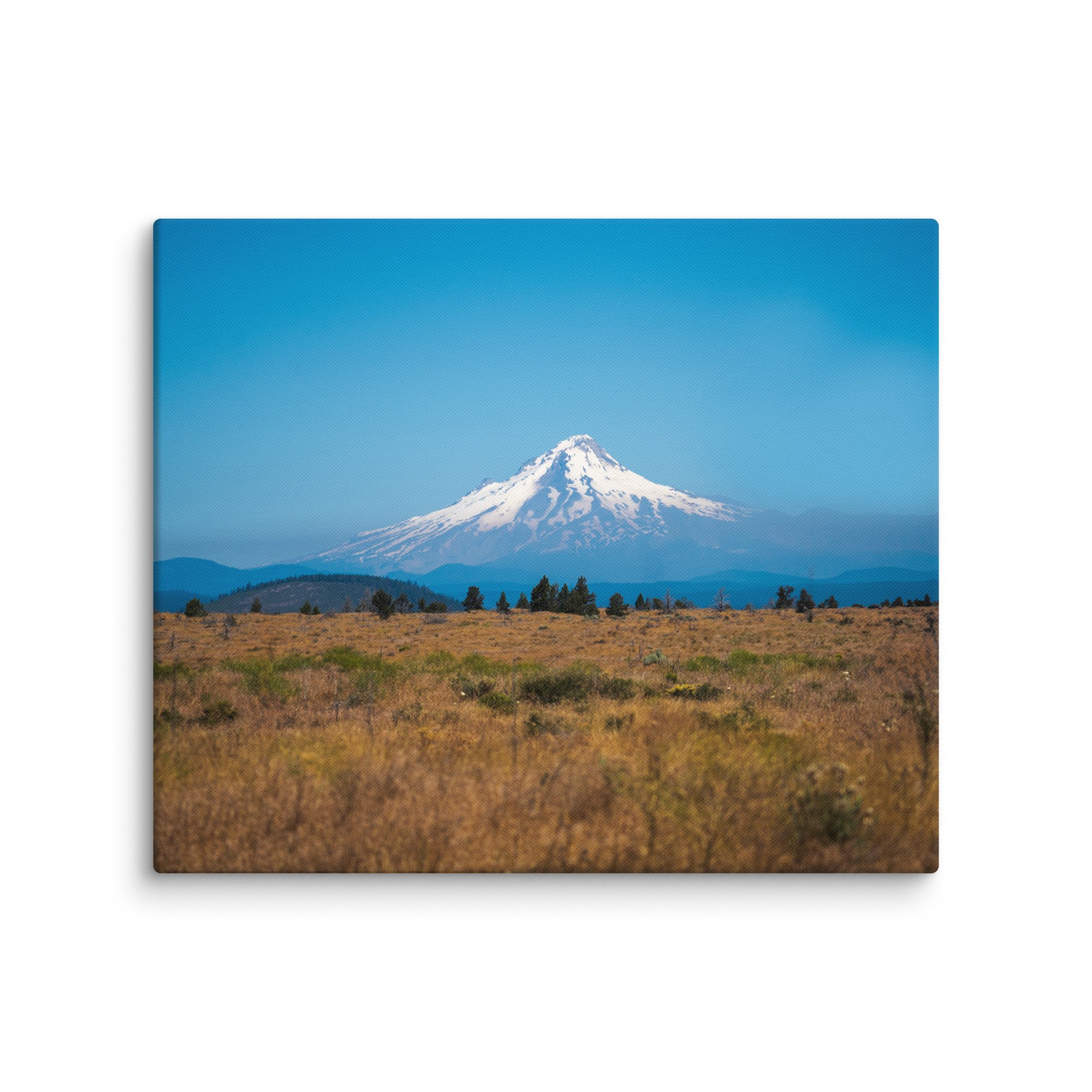 canvas-(in)-20x24-wall-67858088ac5df.jpg