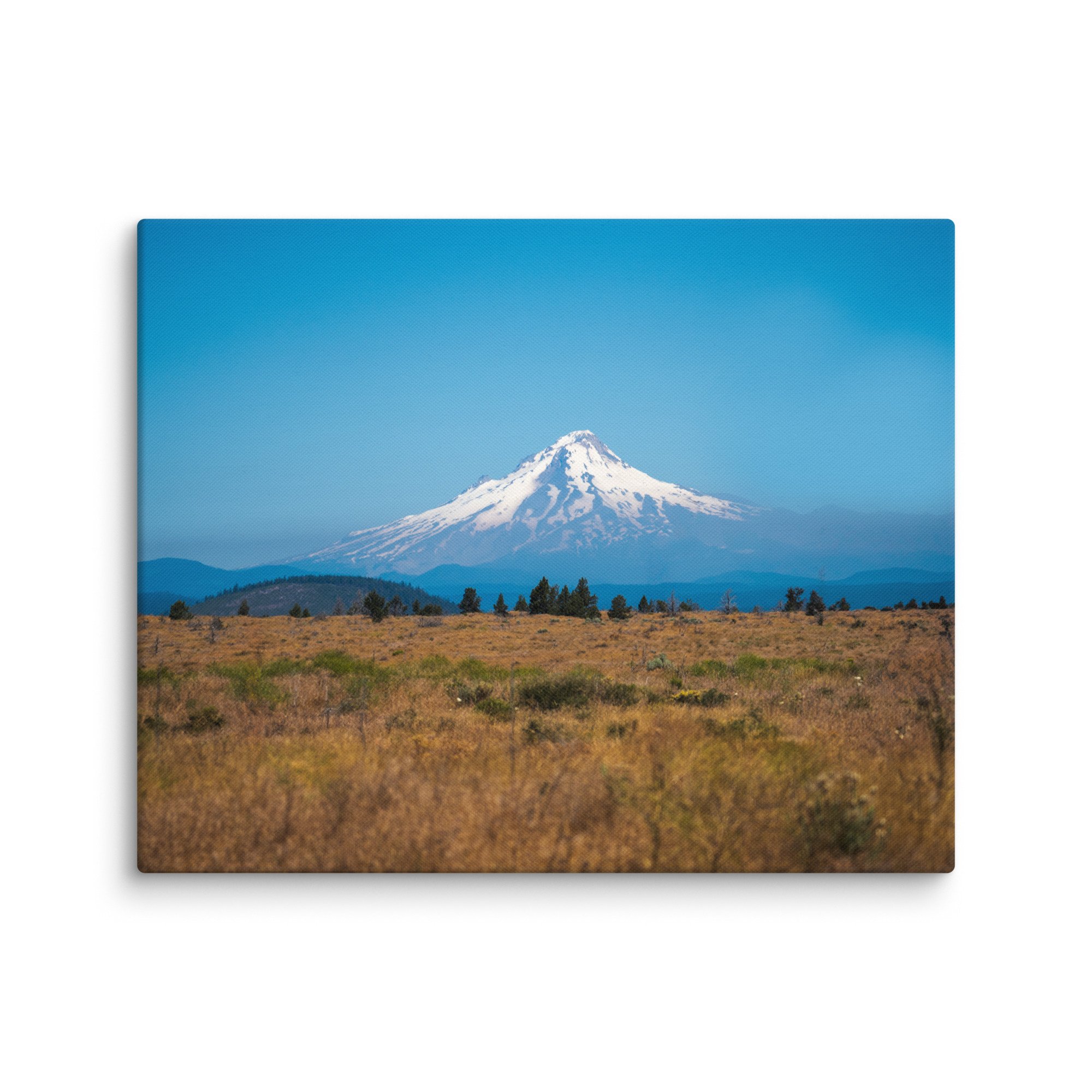 canvas-(in)-24x30-wall-67858088ac7e7.jpg