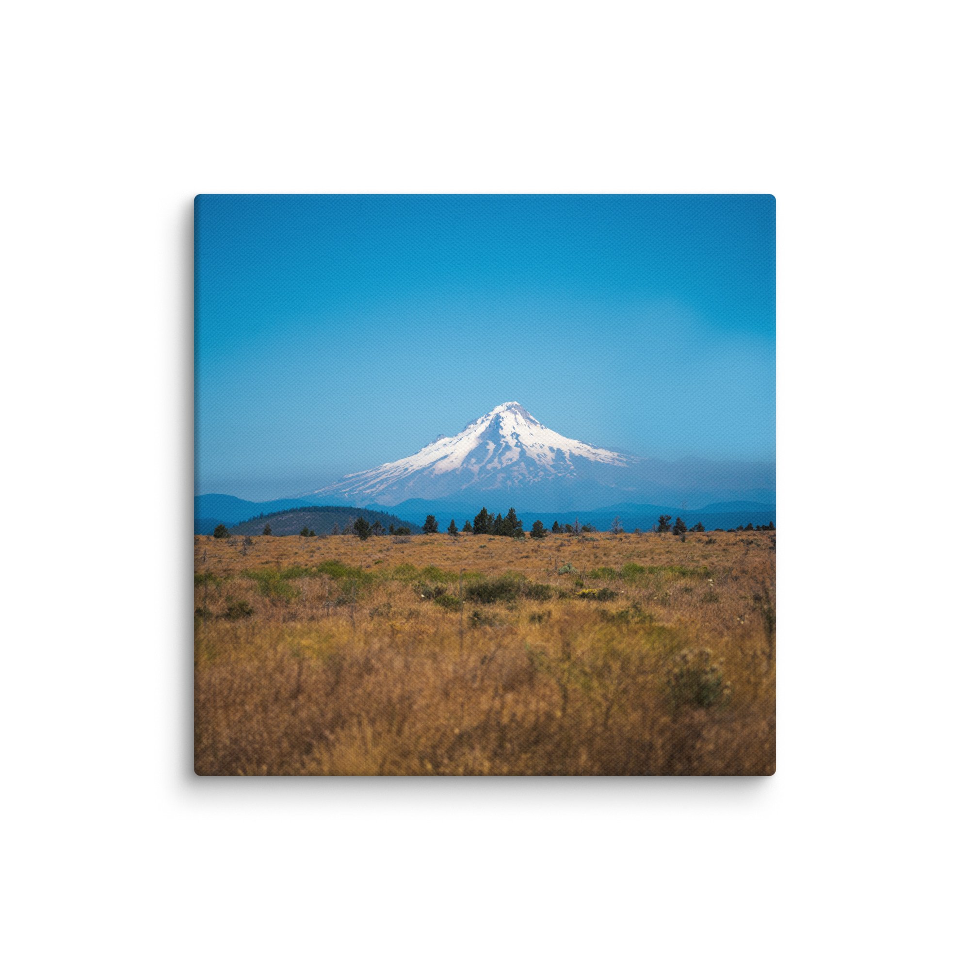 canvas-(in)-6x6-wall-67858088acc1e.jpg