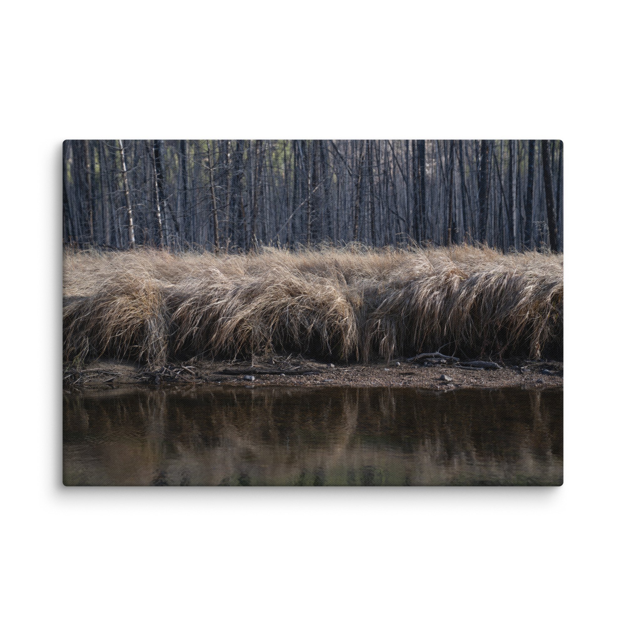 canvas-(in)-18x26-wall-6786a1c44f7c2.jpg