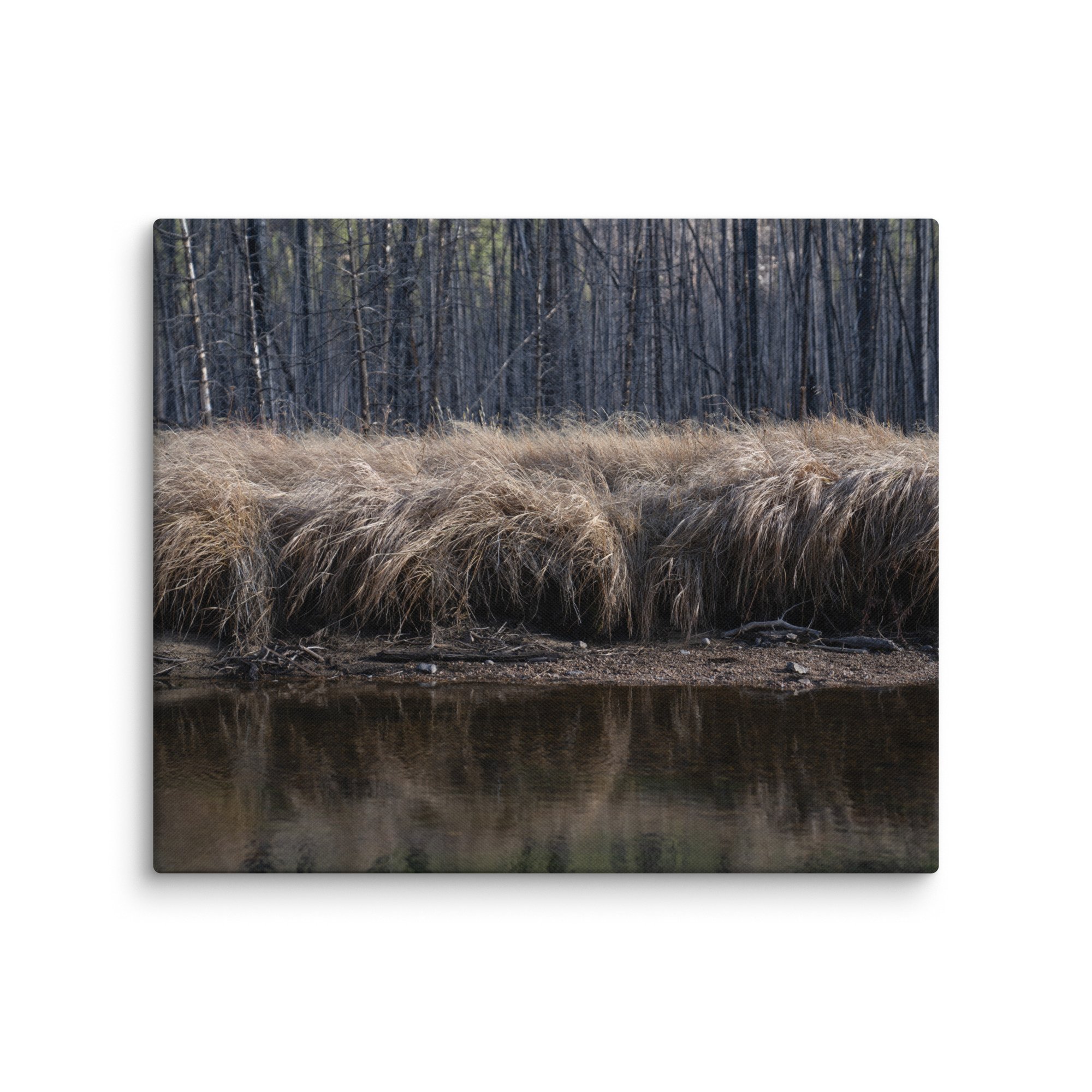 canvas-(in)-20x24-wall-6786a1c44f83a.jpg