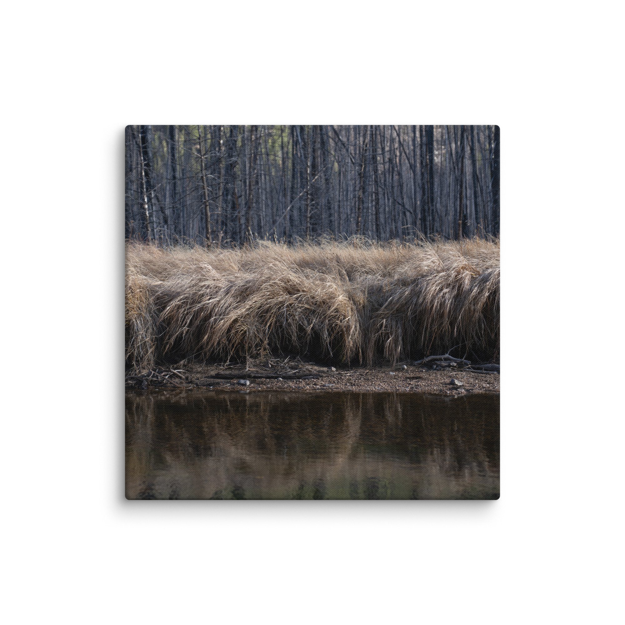 canvas-(in)-26x26-wall-6786a1c44fb7e.jpg