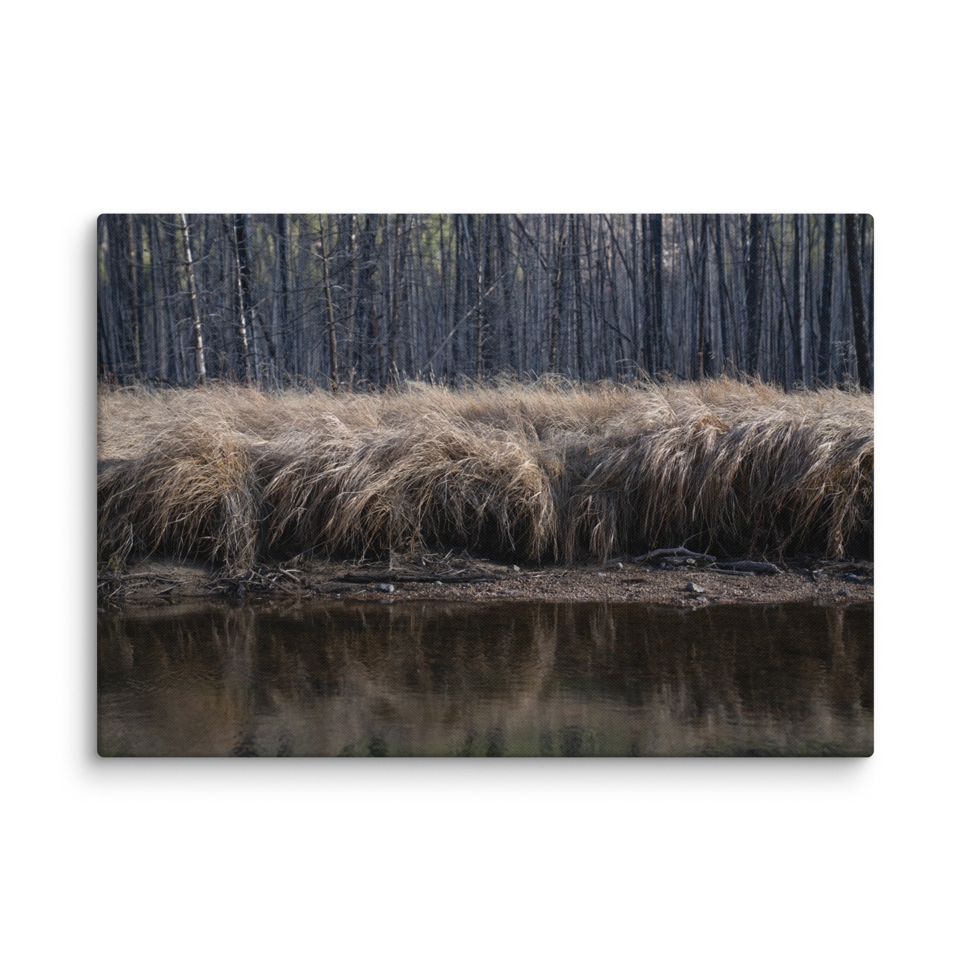 canvas-(in)-28x40-wall-6786a1c44fcdb.jpg
