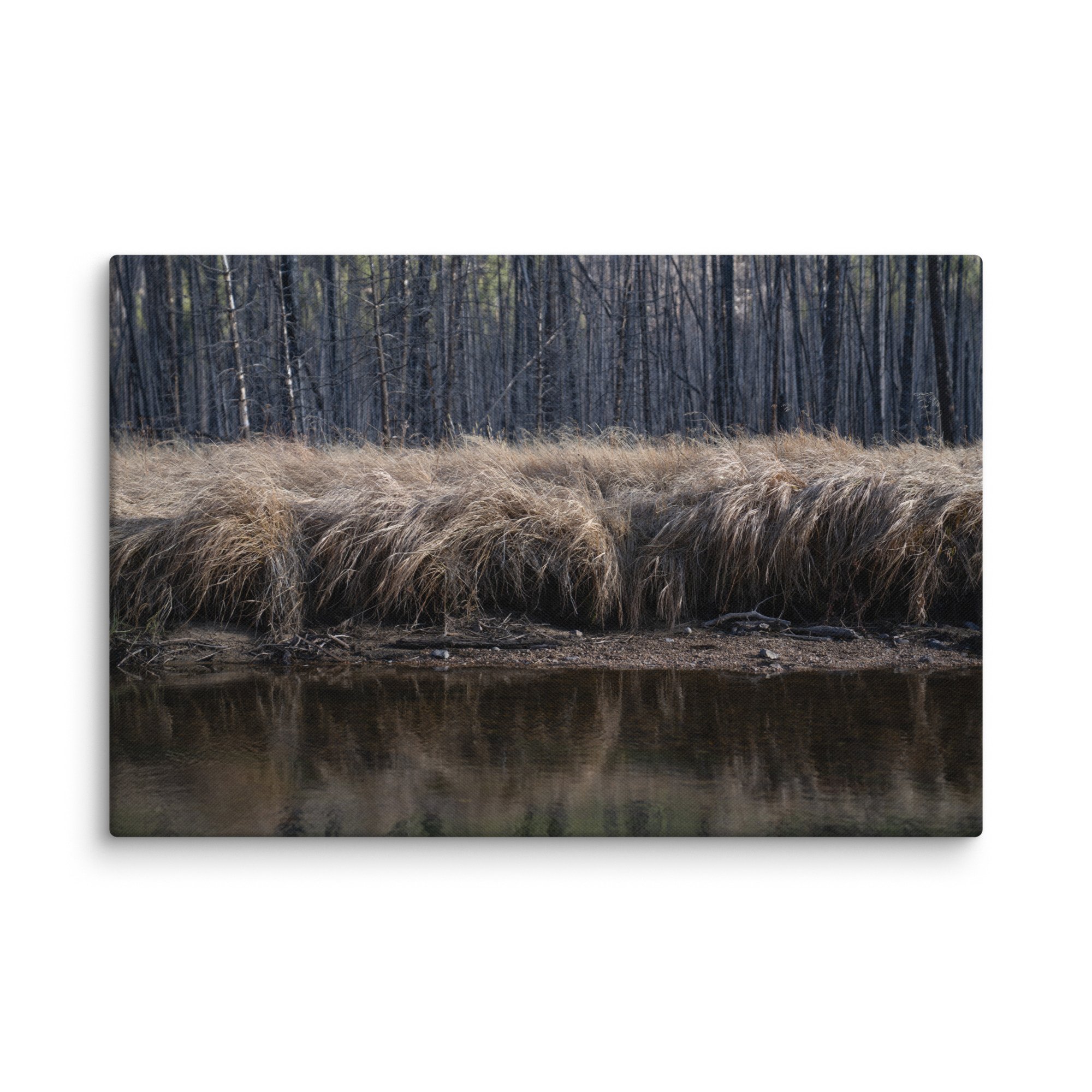 canvas-(in)-32x48-wall-6786a1c44fe3e.jpg
