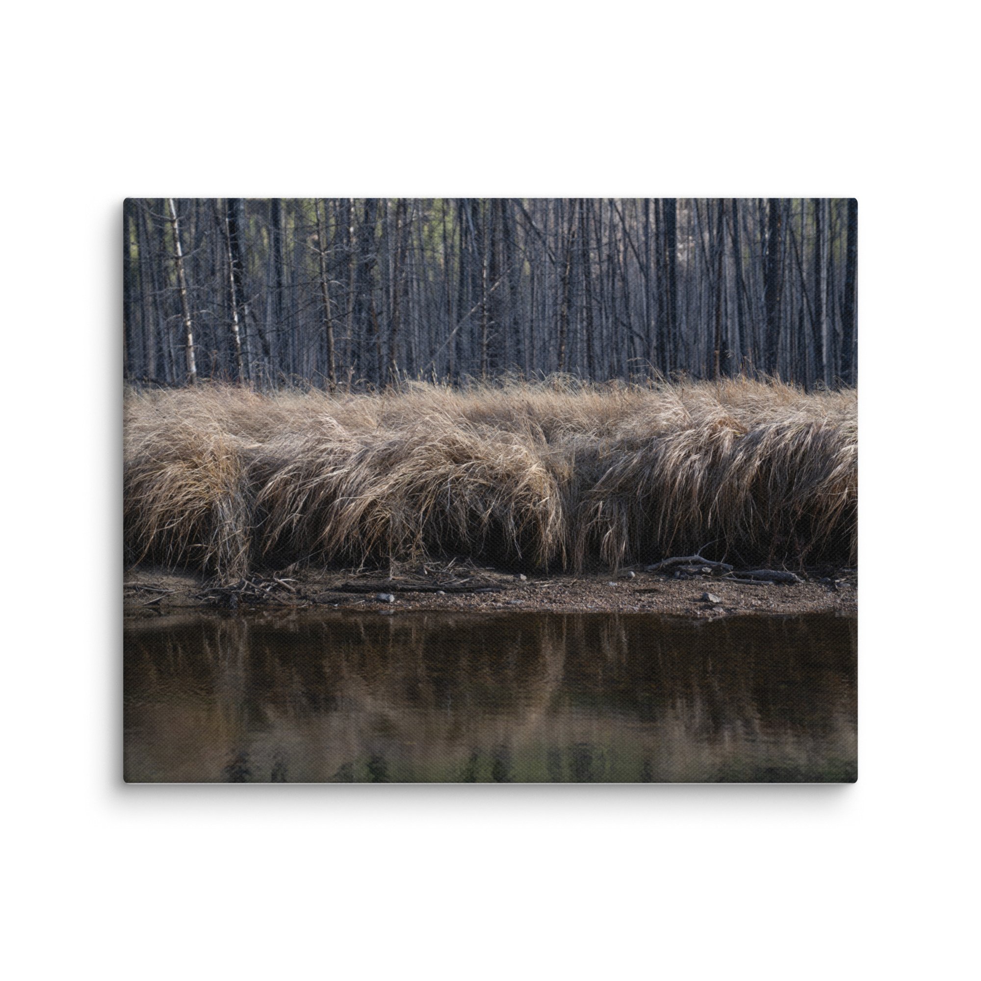 canvas-(in)-8x10-wall-6786a1c450096.jpg