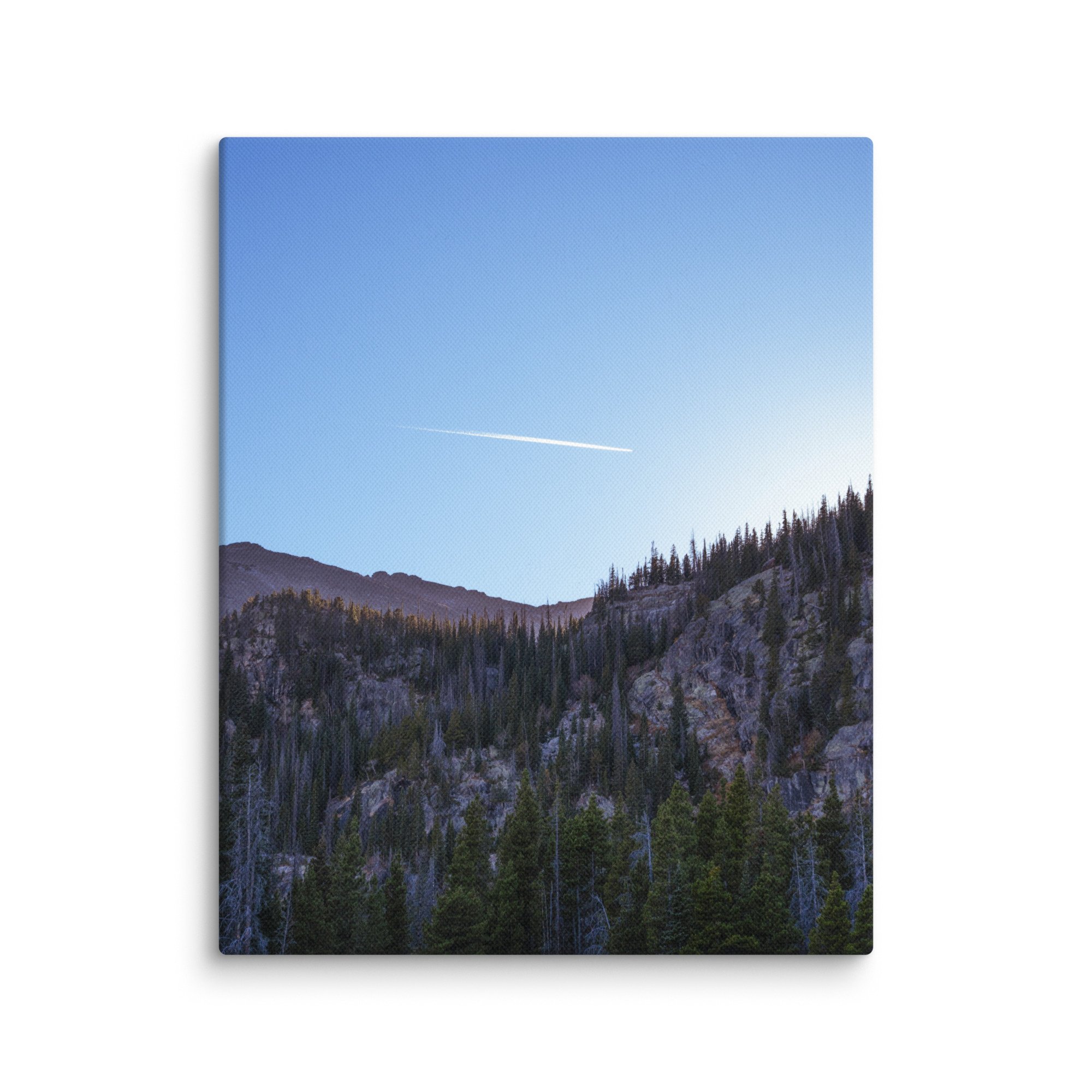 canvas-(in)-8x10-wall-6786acdb01f5e.jpg