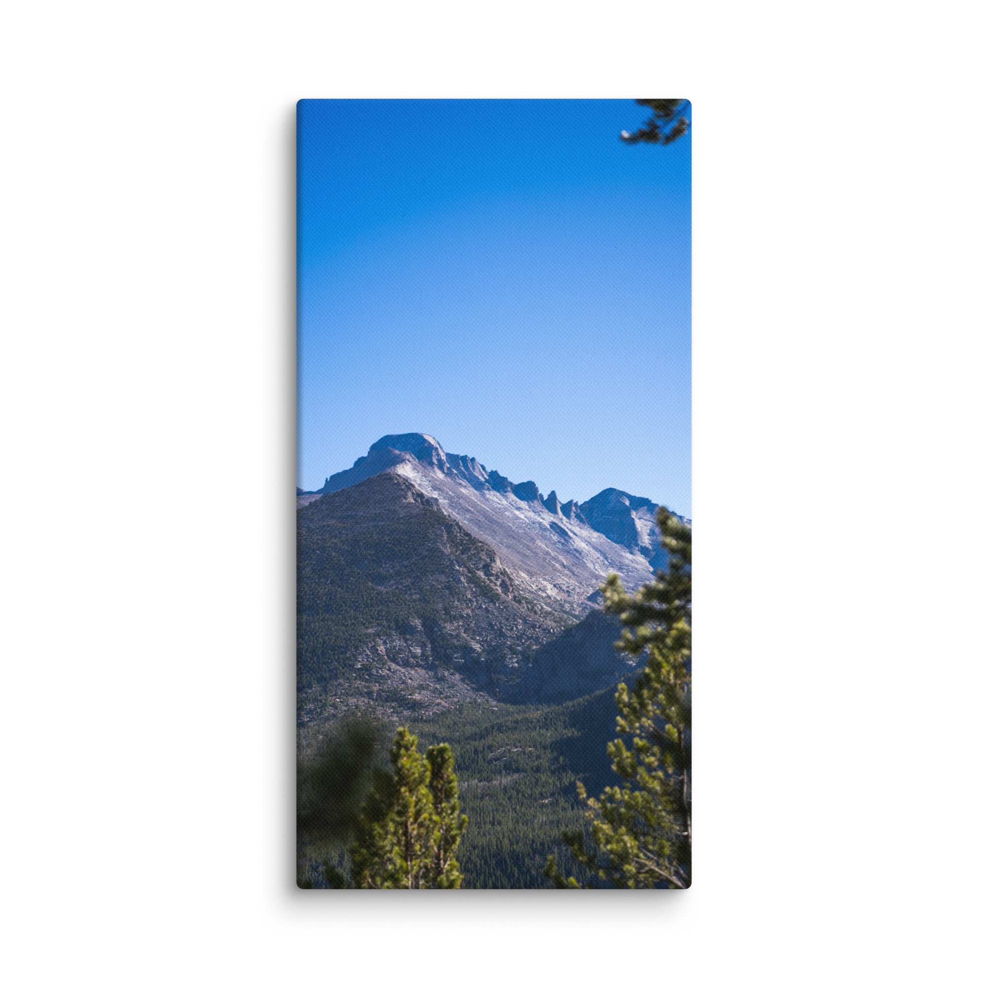 canvas-(in)-10x20-wall-6786b04d02e4b.jpg