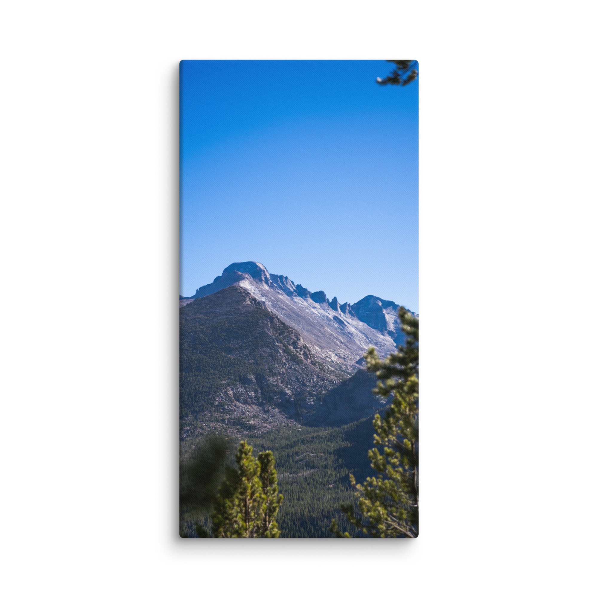 canvas-(in)-16x32-wall-6786b04d03082.jpg