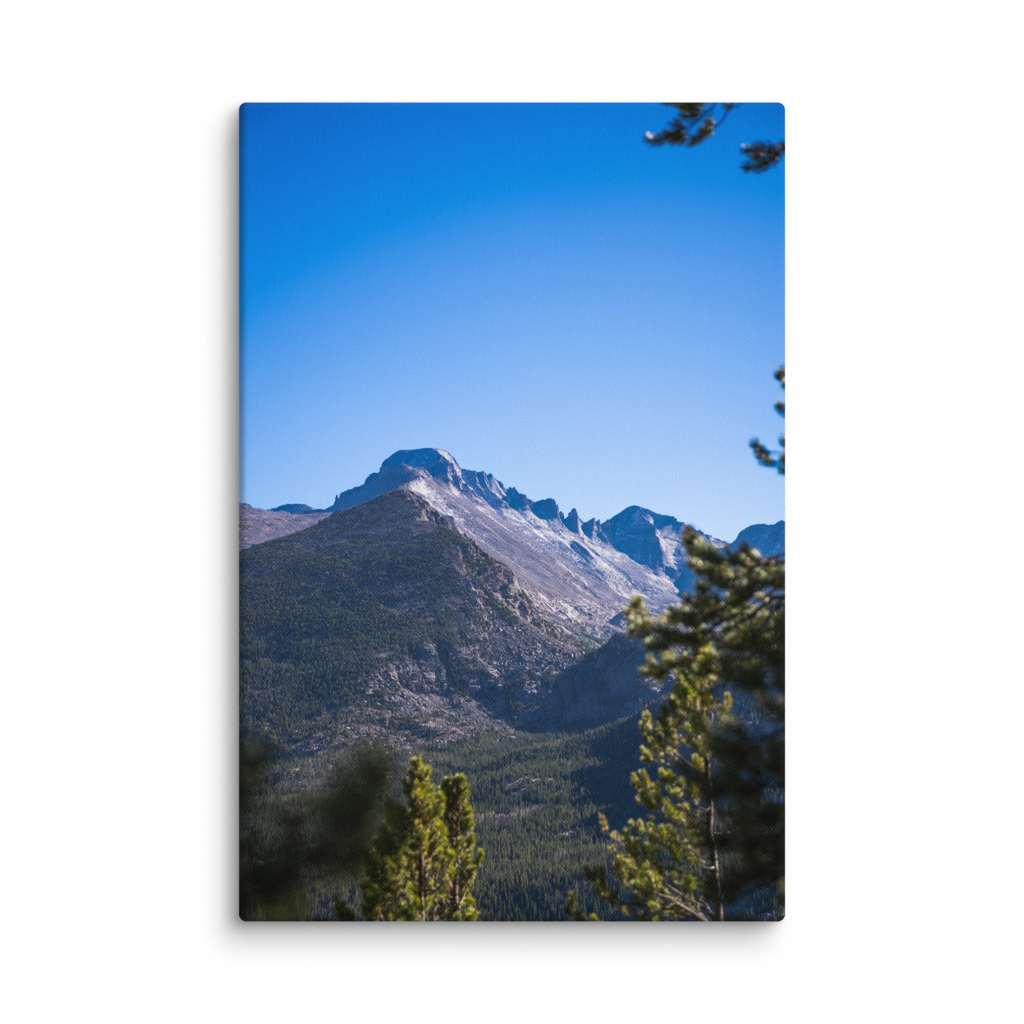 canvas-(in)-32x48-wall-6786b04d035f1.jpg