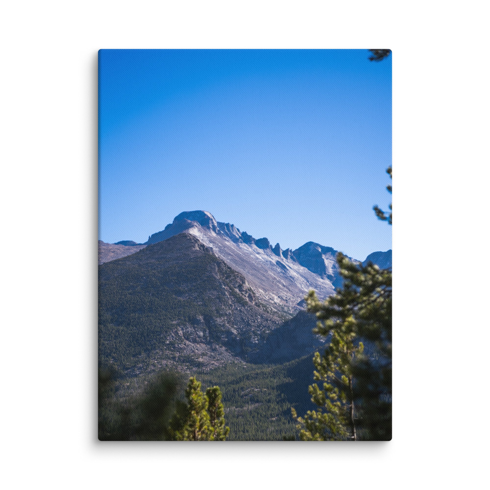 canvas-(in)-12x16-wall-6786b04d038a6.jpg