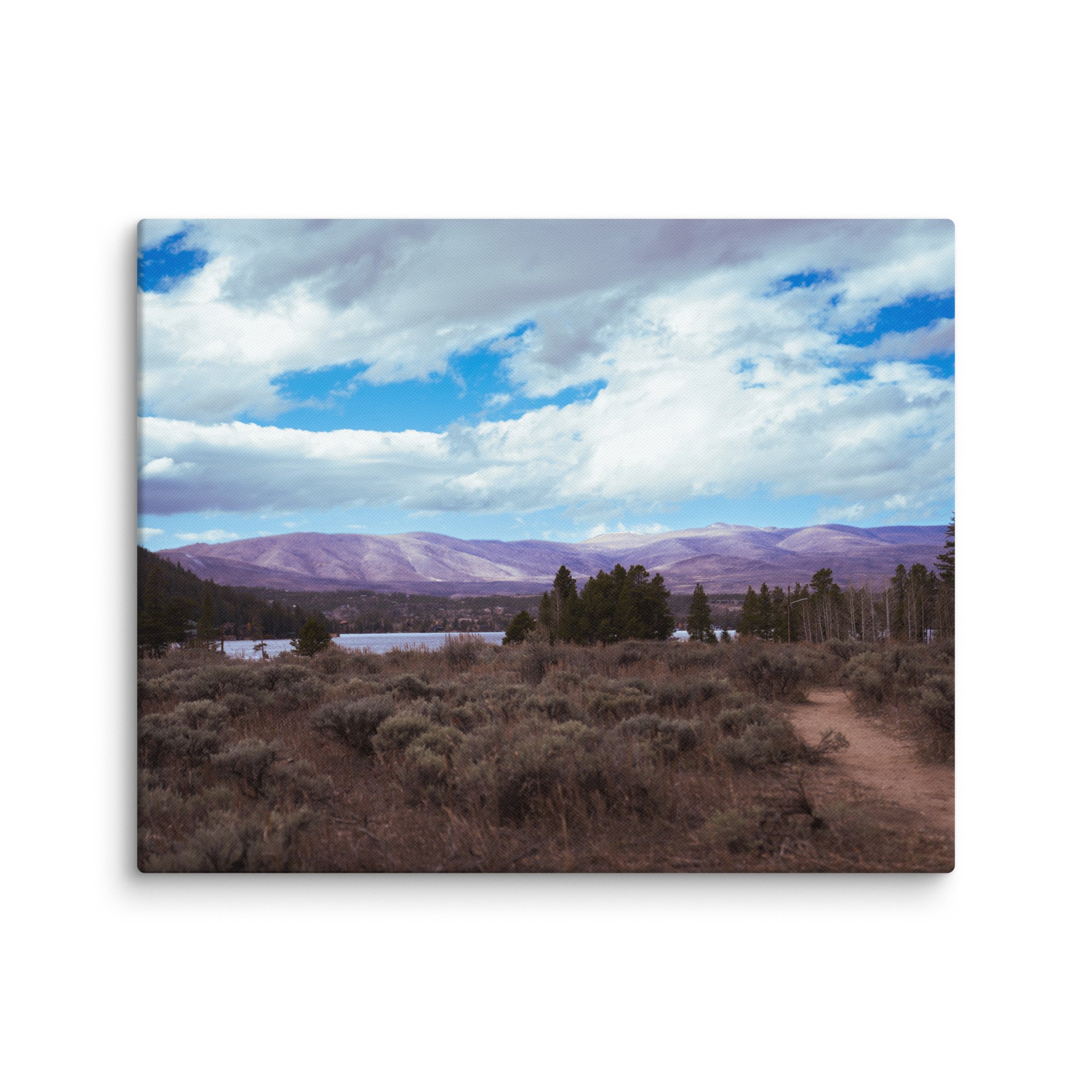 canvas-(in)-24x30-wall-6786b300b3e17.jpg