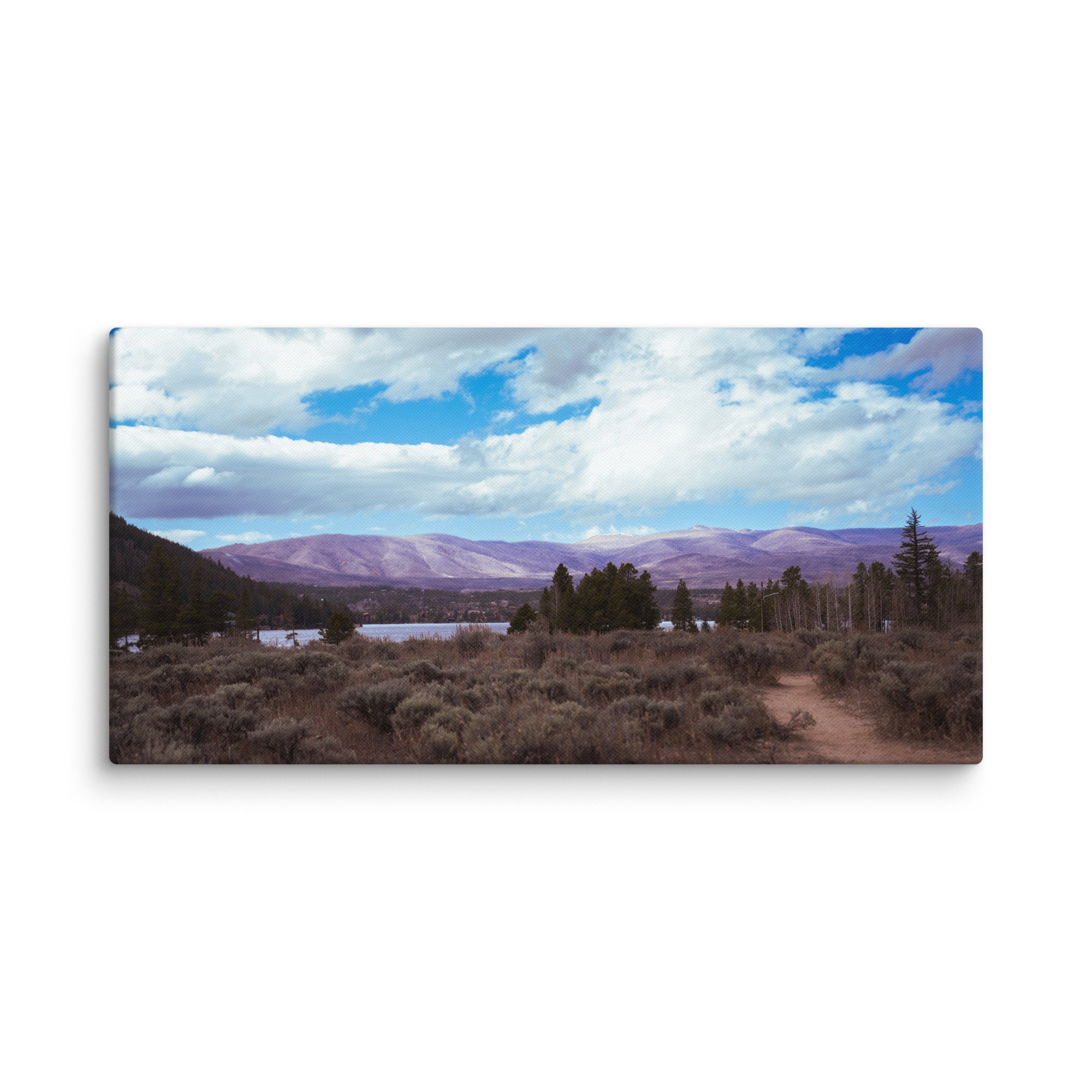 canvas-(in)-24x48-wall-6786b300b3eaf.jpg