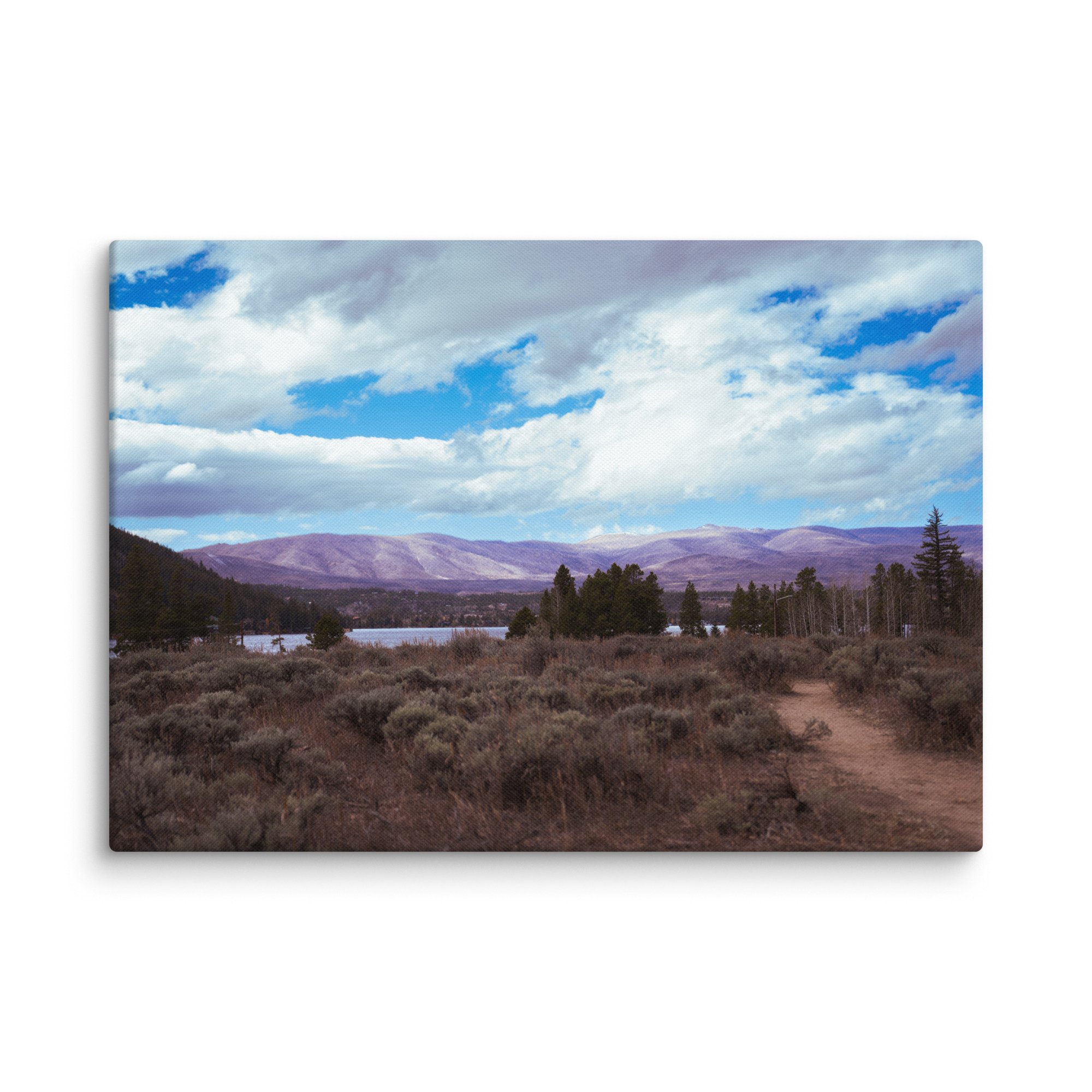 canvas-(in)-28x40-wall-6786b300b3f3b.jpg