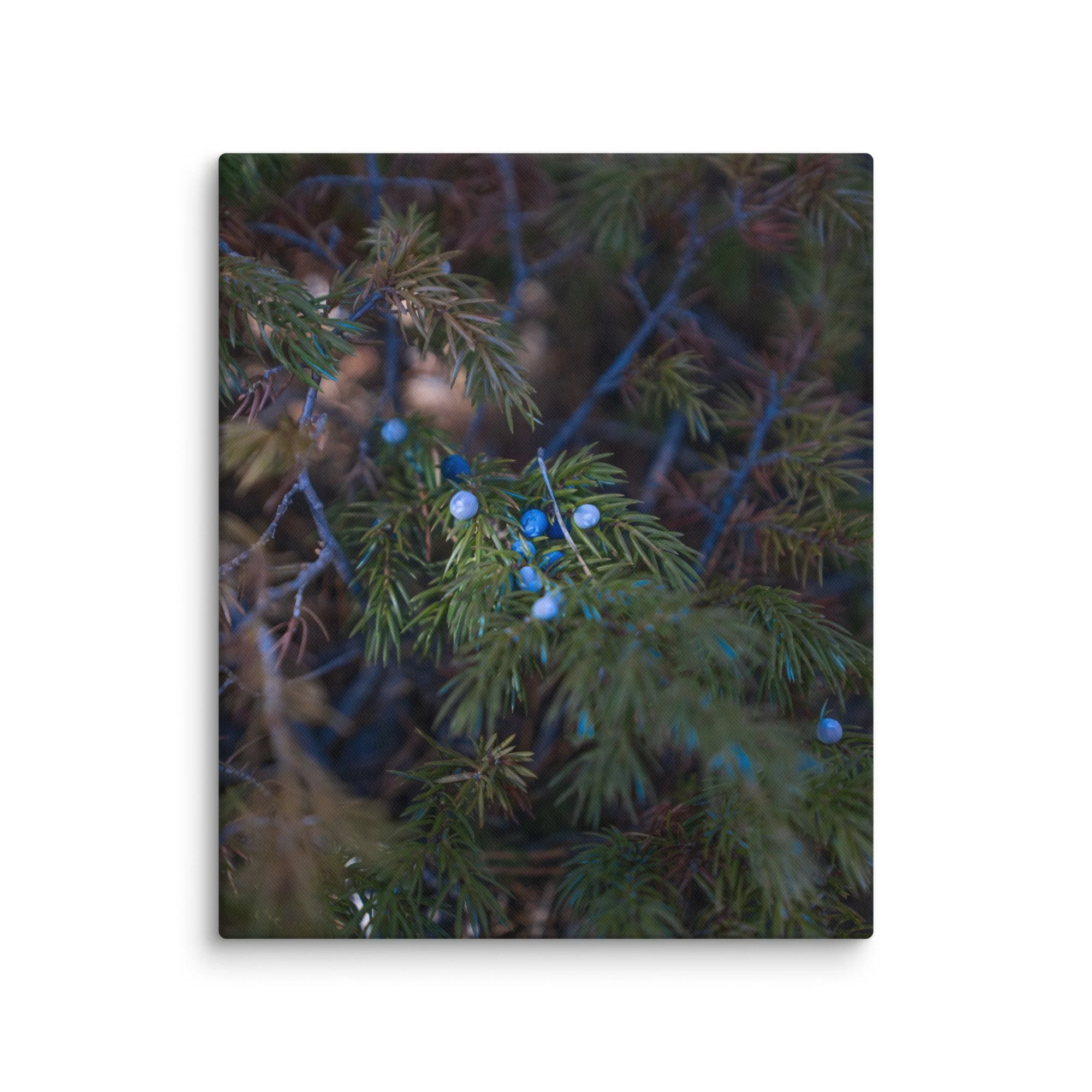 canvas-(in)-20x24-wall-6786b8aeb7819.jpg