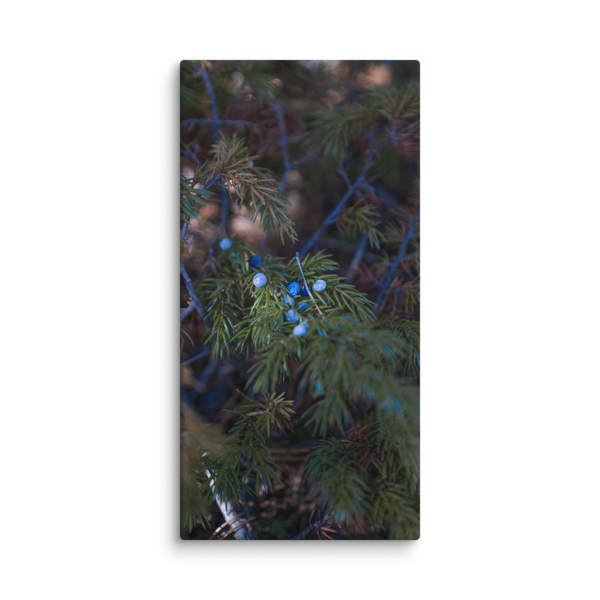 canvas-(in)-20x40-wall-6786b8aeb78f8.jpg