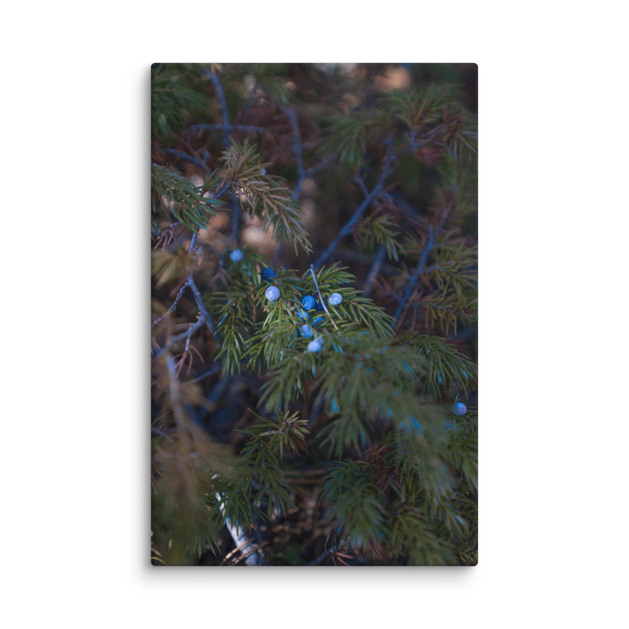 canvas-(in)-26x40-wall-6786b8aeb7a18.jpg