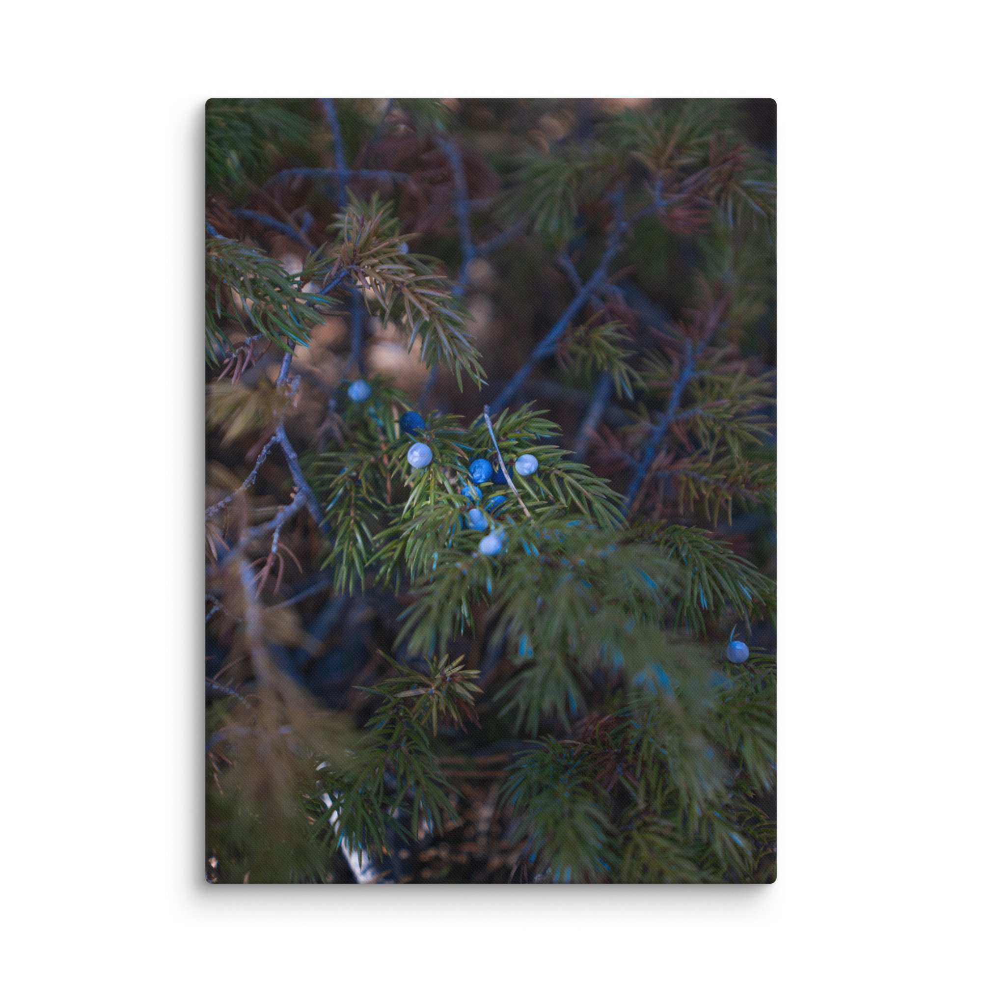 canvas-(in)-40x55-wall-6786b8aeb7b91.jpg
