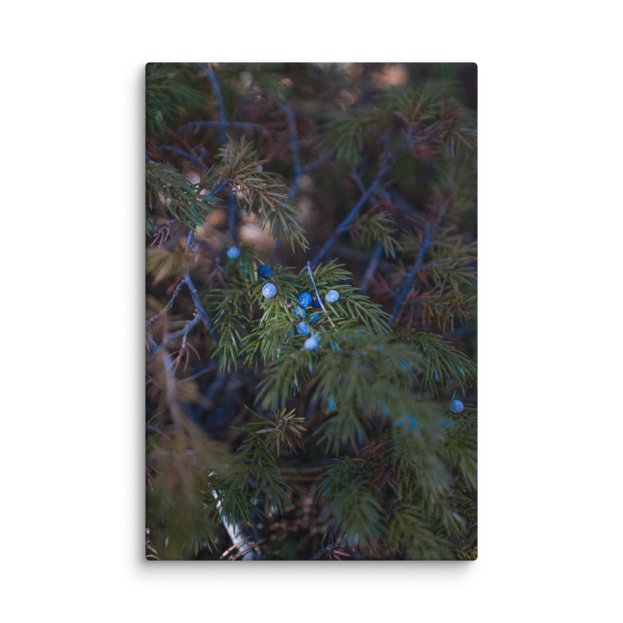 canvas-(in)-8x12-wall-6786b8aeb7cd4.jpg