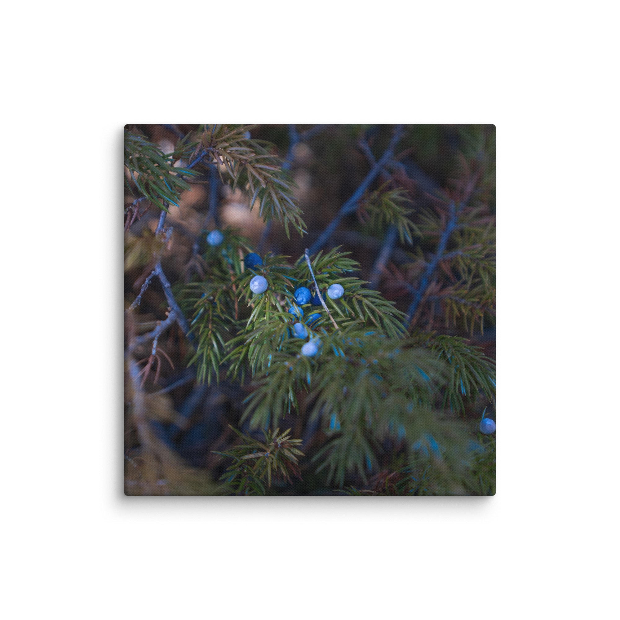 canvas-(in)-12x12-wall-6786b8aeb7dc2.jpg