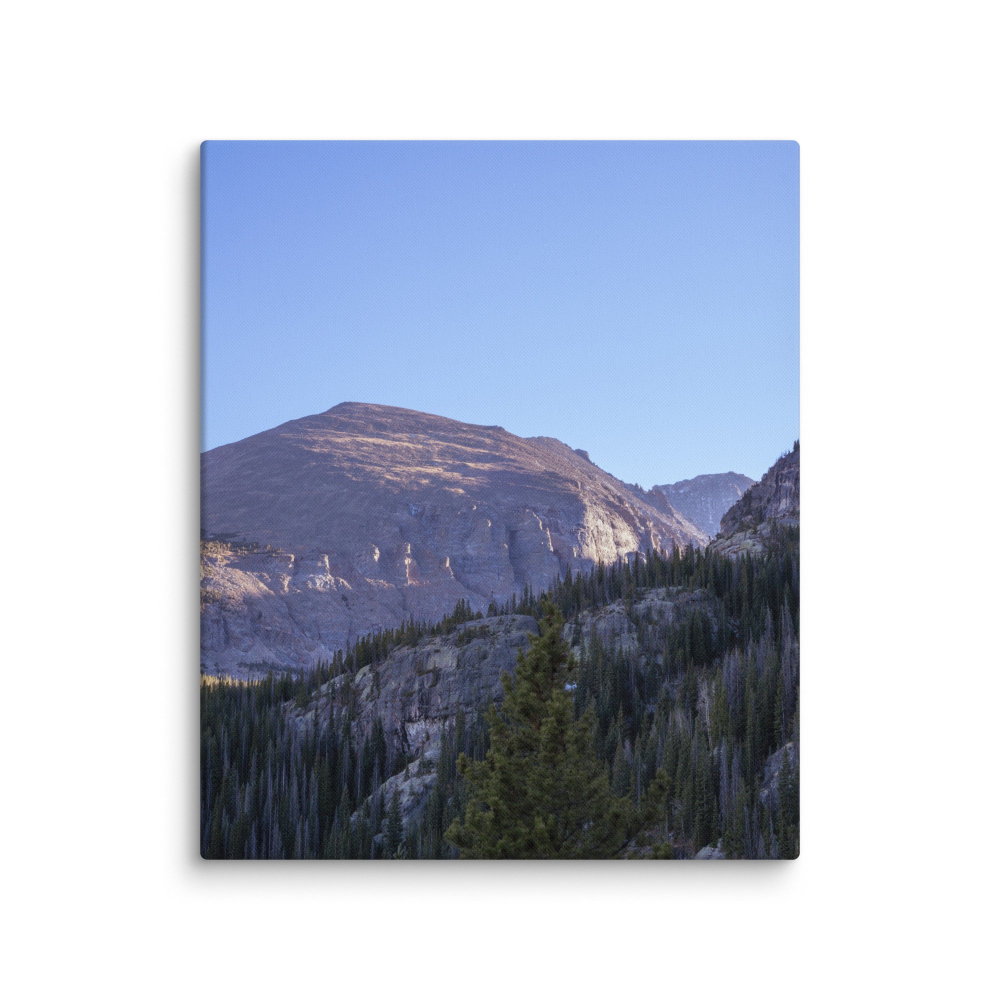 canvas-(in)-20x24-wall-6786bab8b242f.jpg